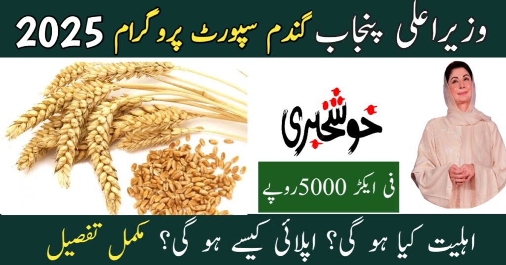cm-kissan-card-–-rs-10000-financial-aid-complete-guide-eligibility-and-apply-process